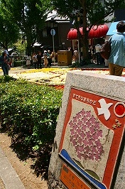 b0073782_2293226.jpg