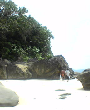 f0137483_10102633.jpg