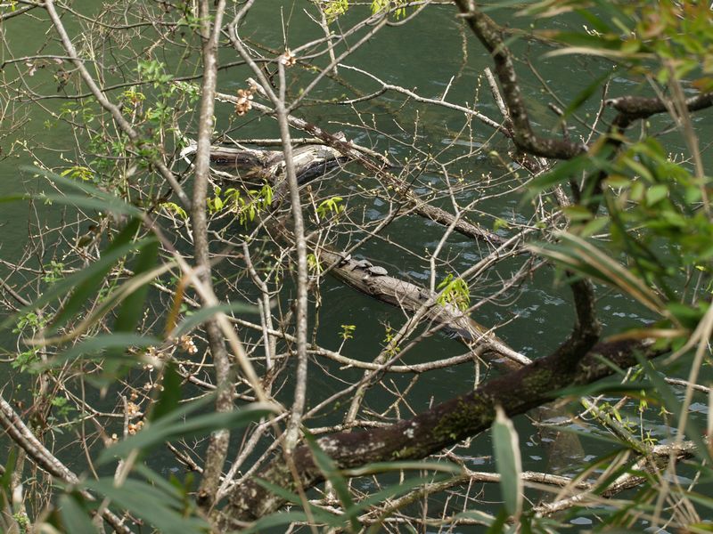 b0108186_1733049.jpg