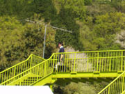 c0060686_1332355.jpg