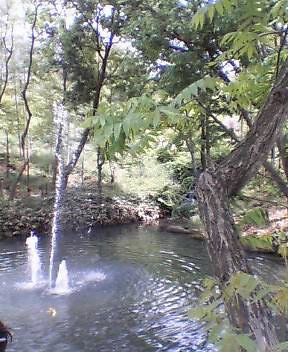 a0042393_20234014.jpg