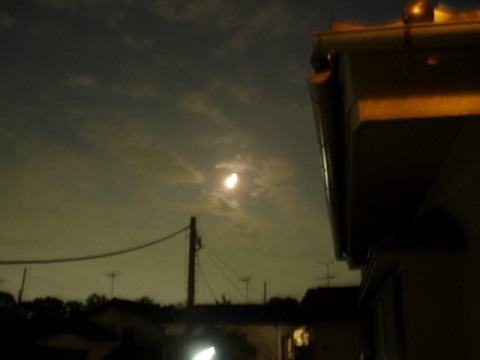 c0086895_2114560.jpg