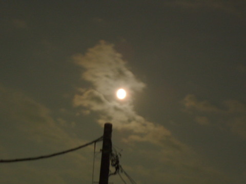 c0086895_2115162.jpg