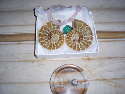 c0086895_21194619.jpg
