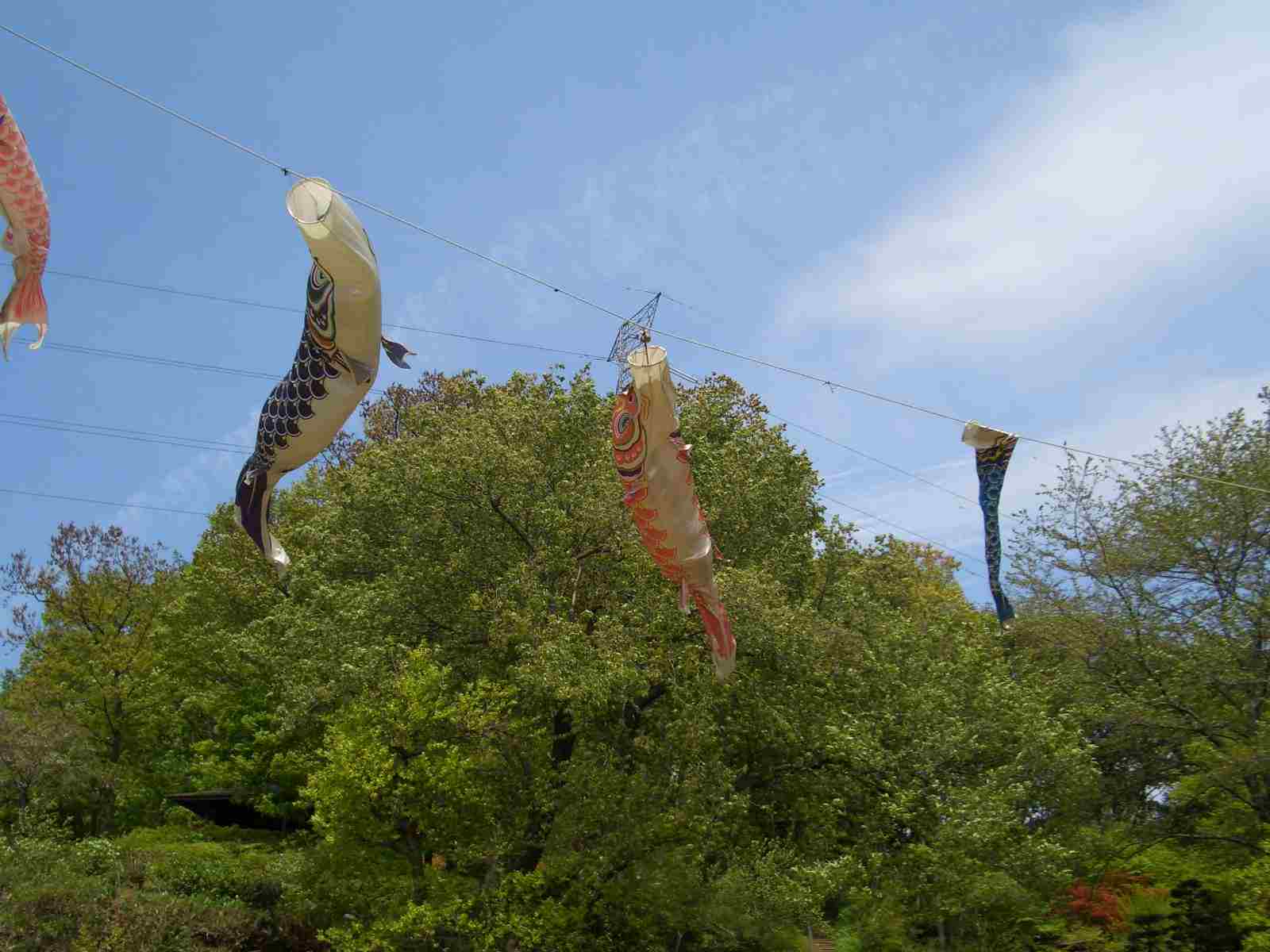 c0011796_21415065.jpg
