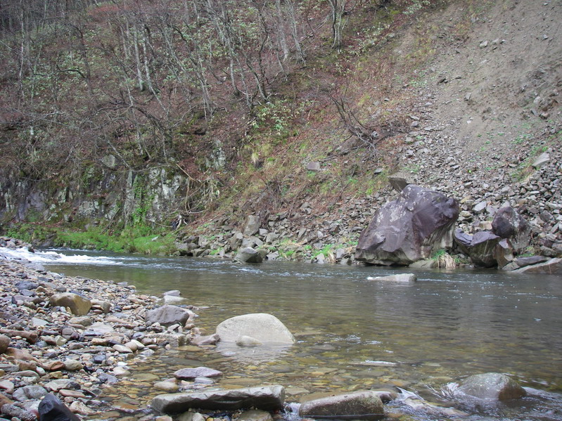 a0104199_224475.jpg