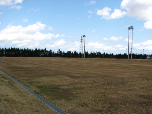 f0020302_163138.jpg