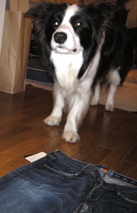 f0034602_22214581.jpg