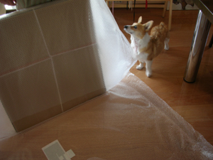 d0104705_8112440.jpg
