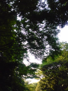 d0101007_21215285.jpg