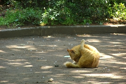 e0066210_12442493.jpg