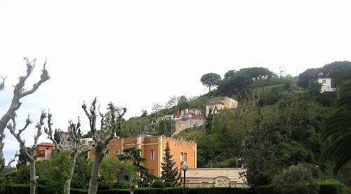 b0064411_17555725.jpg