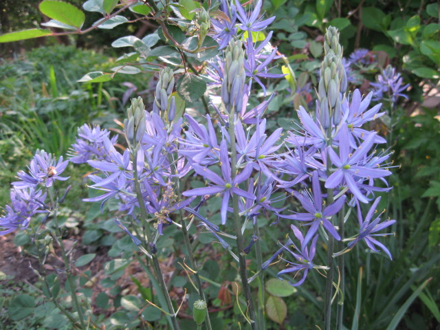 f0128316_118296.jpg