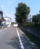 f0031420_2113531.jpg