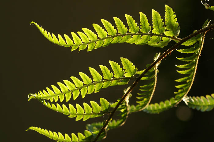 d0089024_22381168.jpg