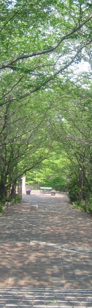 f0107724_10113245.jpg