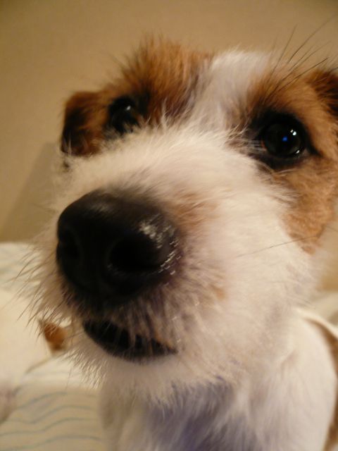 f0124526_123493.jpg