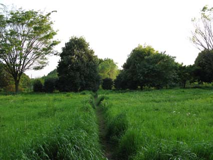 d0109728_21393511.jpg