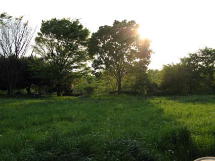 d0109728_21395321.jpg