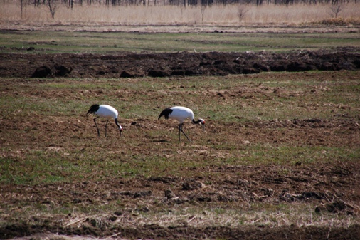 e0054231_21724.jpg