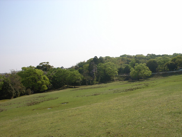 d0105133_18395616.jpg