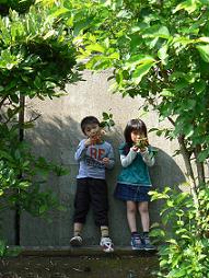 c0109235_23151548.jpg