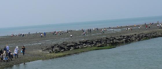 c0109235_23442086.jpg