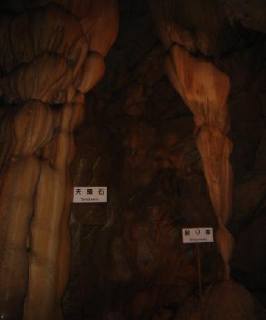 b0079436_1164247.jpg