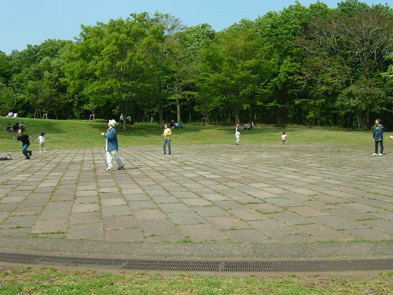 d0100239_2313567.jpg