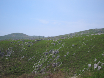 e0110940_2075293.jpg