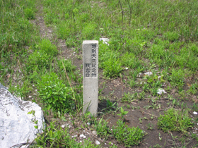 e0110940_2081452.jpg