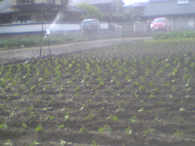 b0053444_1763953.jpg