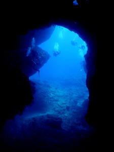 d0065247_19465558.jpg