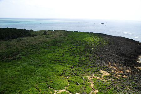 a0012950_1855098.jpg
