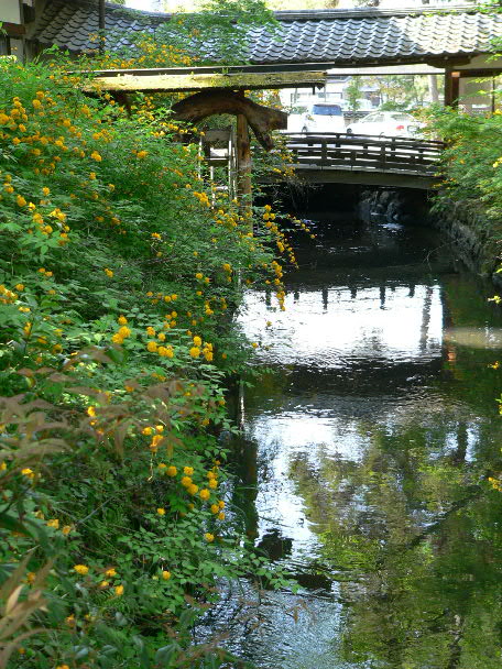 e0017051_23523340.jpg