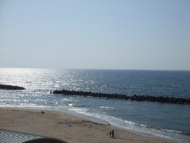 c0081552_011984.jpg