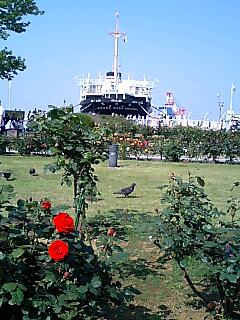 e0045856_1747024.jpg