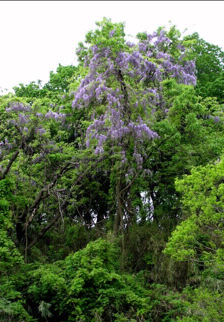 f0044056_16242011.jpg