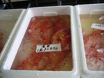 f0087256_17335624.jpg