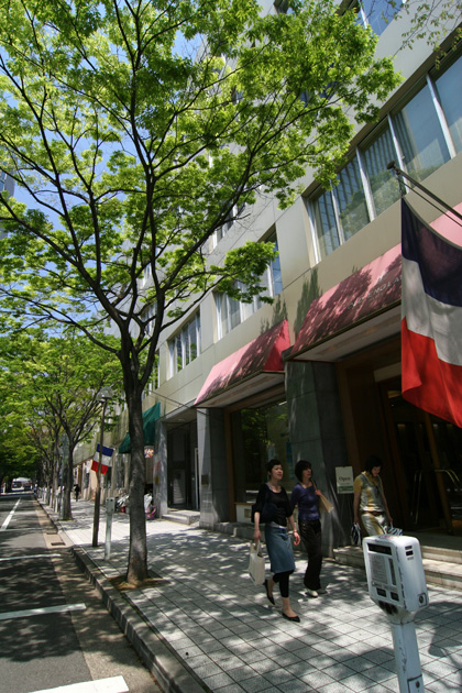 e0030457_16413166.jpg