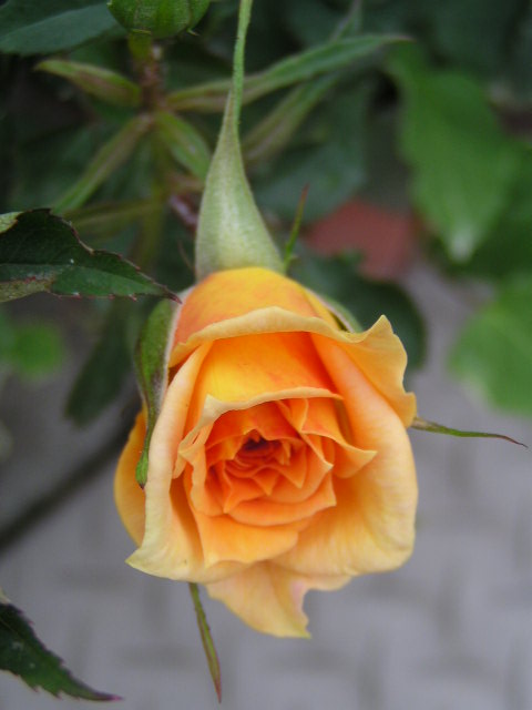 f0074659_23334075.jpg