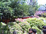 d0098762_20352394.jpg