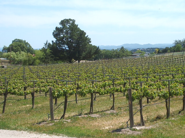 c0115366_10131641.jpg