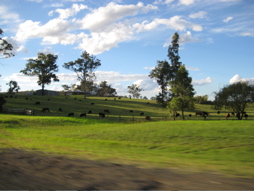 f0113467_10365869.jpg