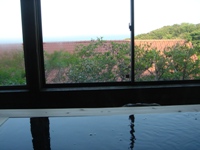c0102268_2365338.jpg