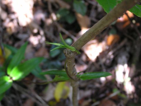 c0042869_19433258.jpg