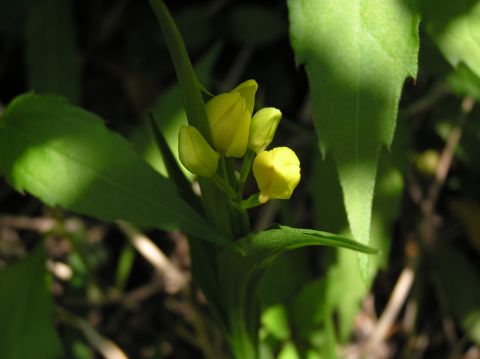c0042869_19442474.jpg