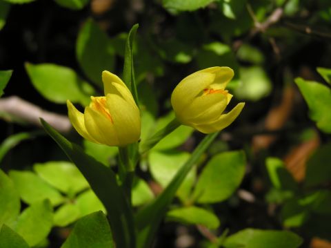 c0042869_19445042.jpg