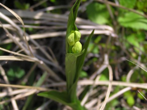 c0042869_1944917.jpg