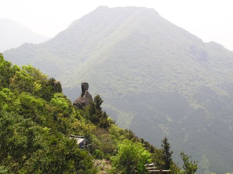 c0042869_1945636.jpg